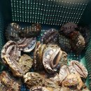 완도화목식품 이미지