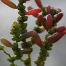 취중천국 이미지