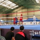 아중파워복싱 이미지