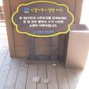 안뜰거북이마을 이미지