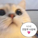 대나무횟집 이미지