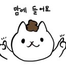 하이담헤어 이미지