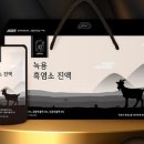 약초건강식품 이미지
