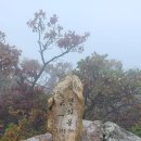 소백 죽국새 이미지