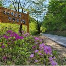 자연휴양림 입구 이미지