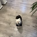 센트럴파크 한의원 | [동탄]통증관리 동탄센트럴파크 목통증 어깨통증으로 센트럴수마사지 두번째 방문 후기