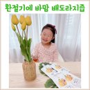 아기 목감기에 좋은 배즙 우리집은 바맘 배도라지즙으로 환절기 대비해요
