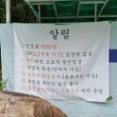 오마이랜드부산 이미지