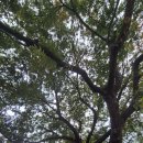 청풍김문 영모단 | 음성군 오향리 문화마을 독립운동가 김규식 선생 기념공원과 영모단 방문기