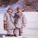 봄,여름,가을,겨울 이미지