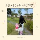 야간도심테마 | 국립세종수목원 야간개장 | 특별전시 | 방문 꿀팁 총정리