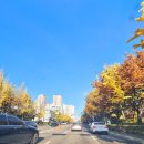 하늘이 닿은 집 이미지