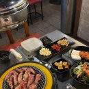 신마포 갈매기 이미지