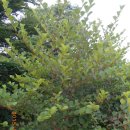 용머리길 이미지