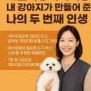 에이치에스평생교육원