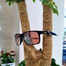 아이씨옵틱스 이미지