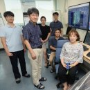 도울태양광발전소 이미지