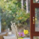 고성해뜰 민박 이미지