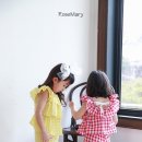 지지미 이미지