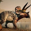 레드디어 | 초식공룡종류 각룡류 백악기시대의 여명의세뿔이있는얼굴 에오트리케라톱스