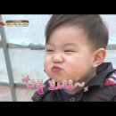 태오