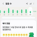 날머리 이미지