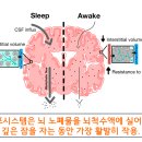 뉴메이크