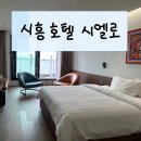 시흥 호텔 시엘로 내돈내산 후기 (+시흥 거북섬 여행)