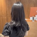 뱅키 | 대전 탄방동미용실 추천 뱅키 하이레이어드컷 C컬펌 후기