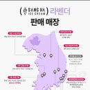 꽃향기폴폴 | 꽃 향/맛 싫어하는 사람의 폴바셋 라벤더 아이스크림 후기