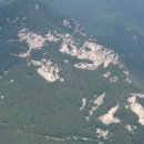 백호식당 이미지