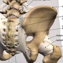 연세문상영의원 이미지