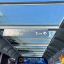 ㈜더쎄븐렌터카 | 제주 여행 가성비 더세븐렌터카 내돈내산 사용 후기 추천