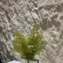 그린다이닝 이미지