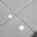 위너크린 이미지