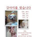 중곡초등학교 이미지