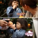 해피파동