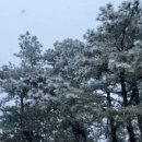 33에이커 이미지