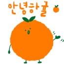 치킨먹9회두먹9