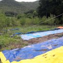 중앙탑면사무소 이미지