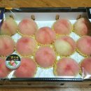 감곡2농장 이미지