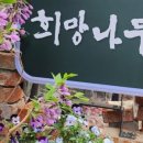 희망건어물 네이버블로그