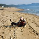 휴양림3170 이미지