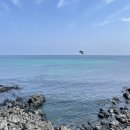 스마일정육센타 | 제주도2일차-애월 한담해변/핫플 카페 노티드 도넛 / 새들러하우스 /웨이팅 할 만 한가/솔직후기