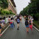 완도중앙초등학교 이미지