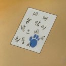 정희세탁 | 굿바이 2025년 ━☆*✲⋆