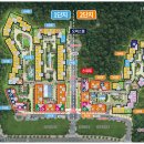 숲속의아침3 이미지