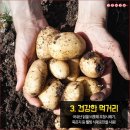 강촌닭갈비 이미지