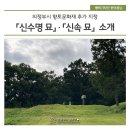 신속묘 이미지