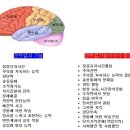 Re:Re: '이마와 손'이어야하는 과학적 증거를 아는만큼만 올립니다. 이미지